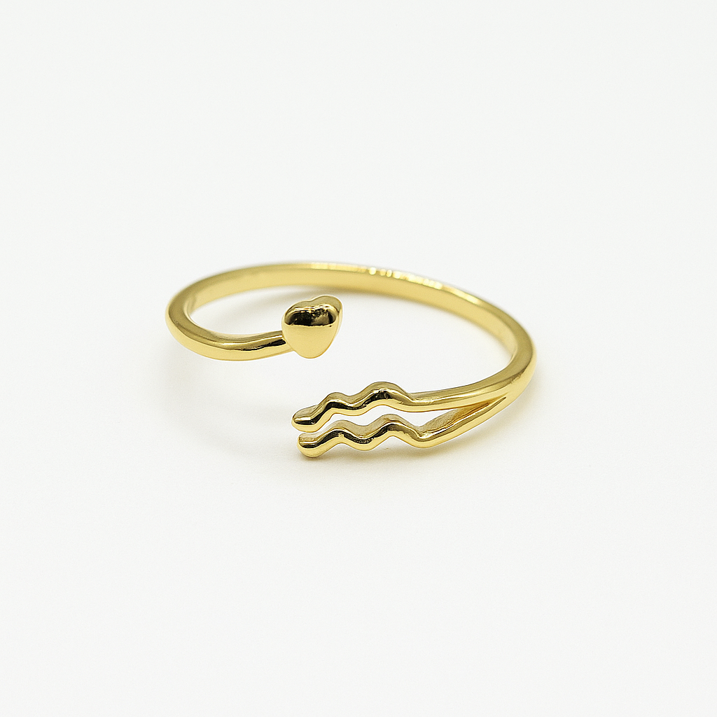 Aquarius Constellation Ring
