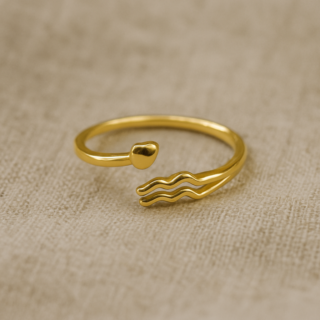 Aquarius Constellation Ring