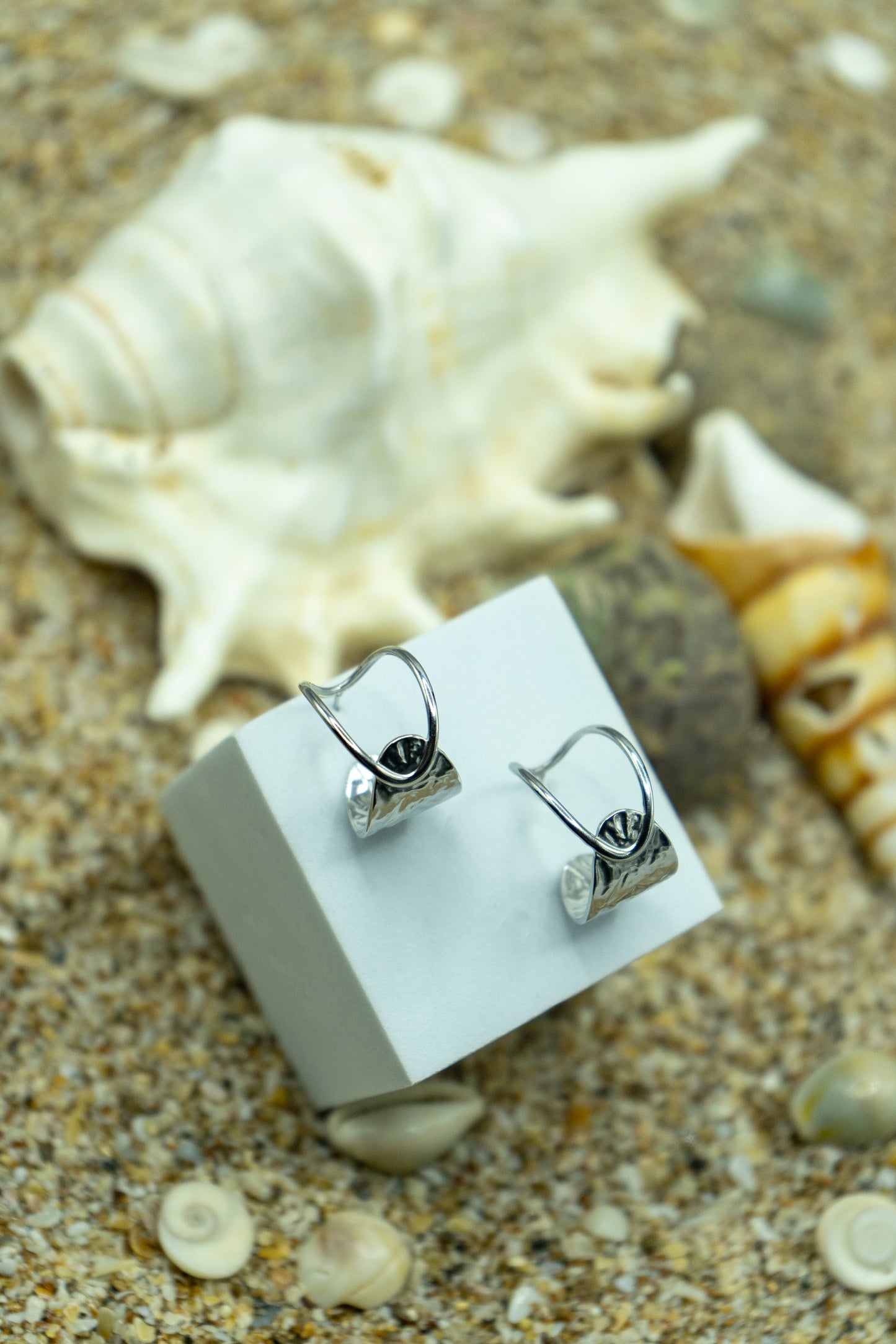 Modern hoop earrings, rhodium-plated, hypoallergenic, anti-tarnish, stylish and elegant jewelry