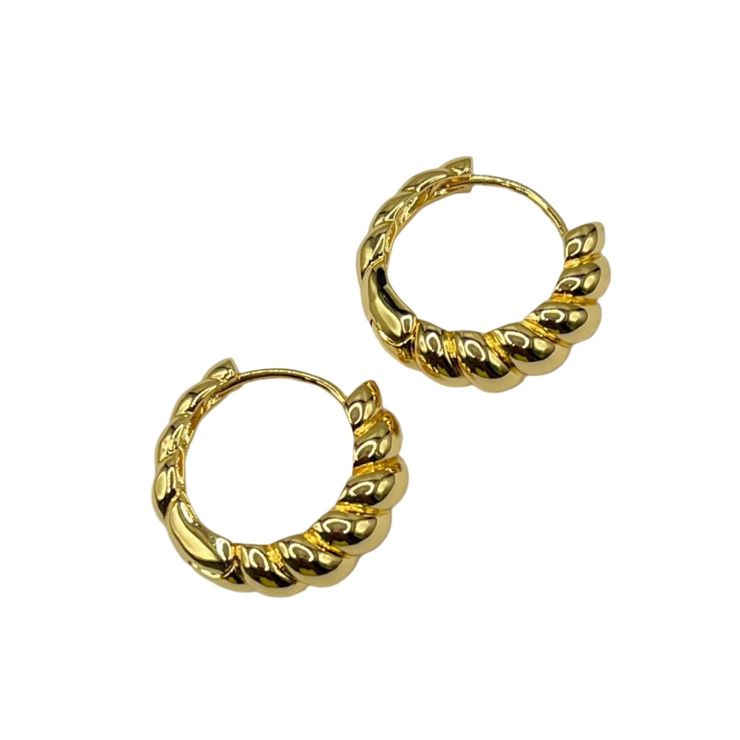 Twisted Hoop Earrings
