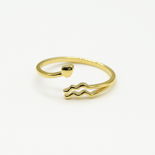 Aquarius Constellation Ring
