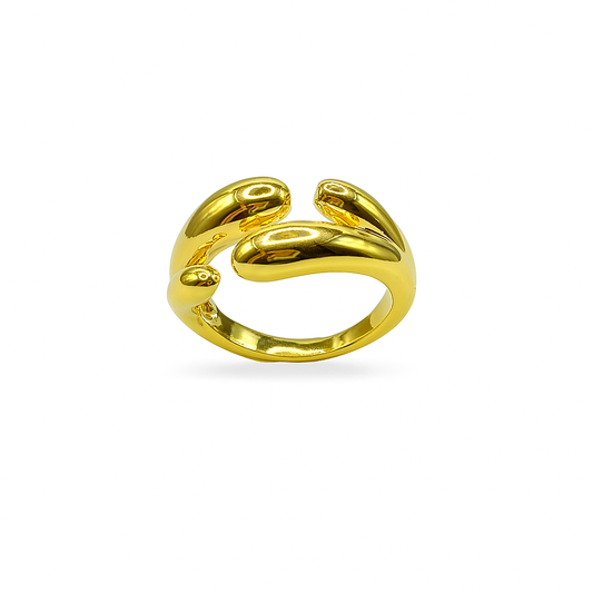 Double Loop Ring