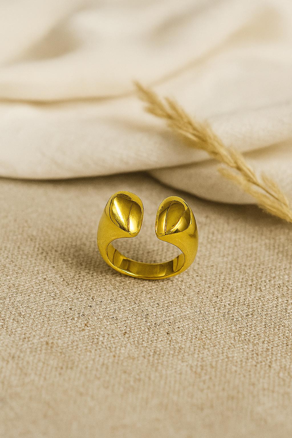 Abstract Ring