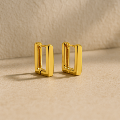 Trendy Hoop Earrings
