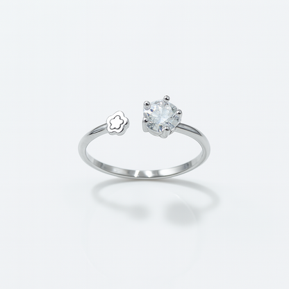 Galaxy Cluster Ring