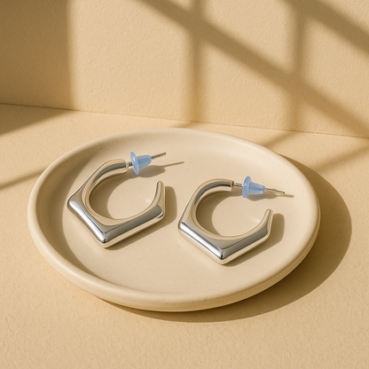 Faceted Hoop Earrings