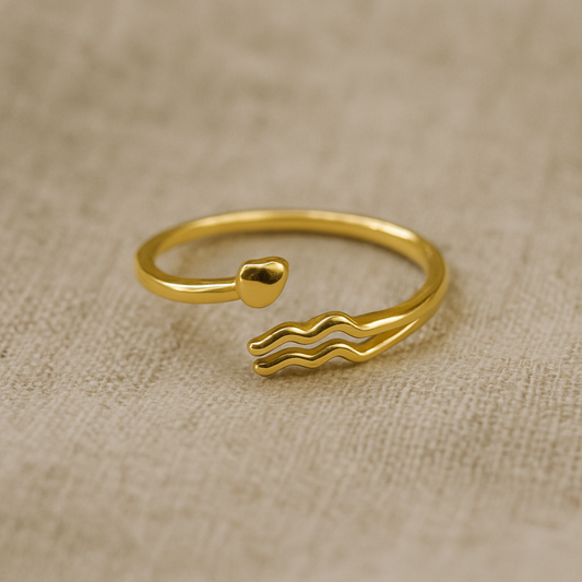 Aquarius Constellation Ring