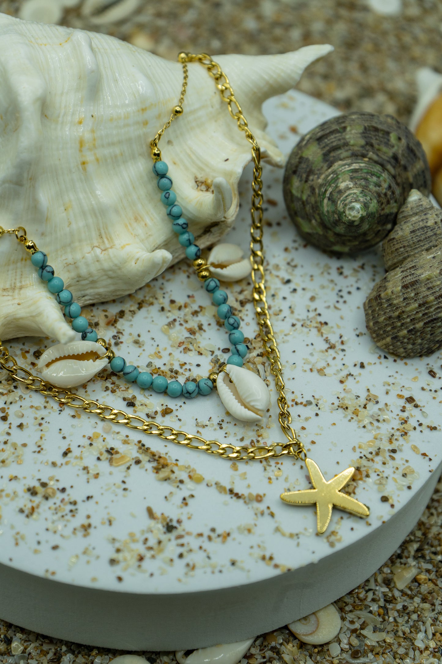 Seashell Necklace