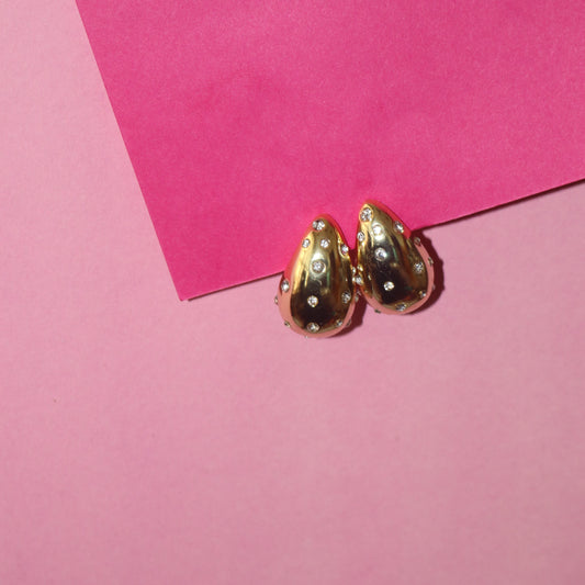 Sparkling Drop Earrings