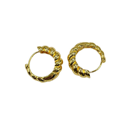 Twisted Hoop Earrings