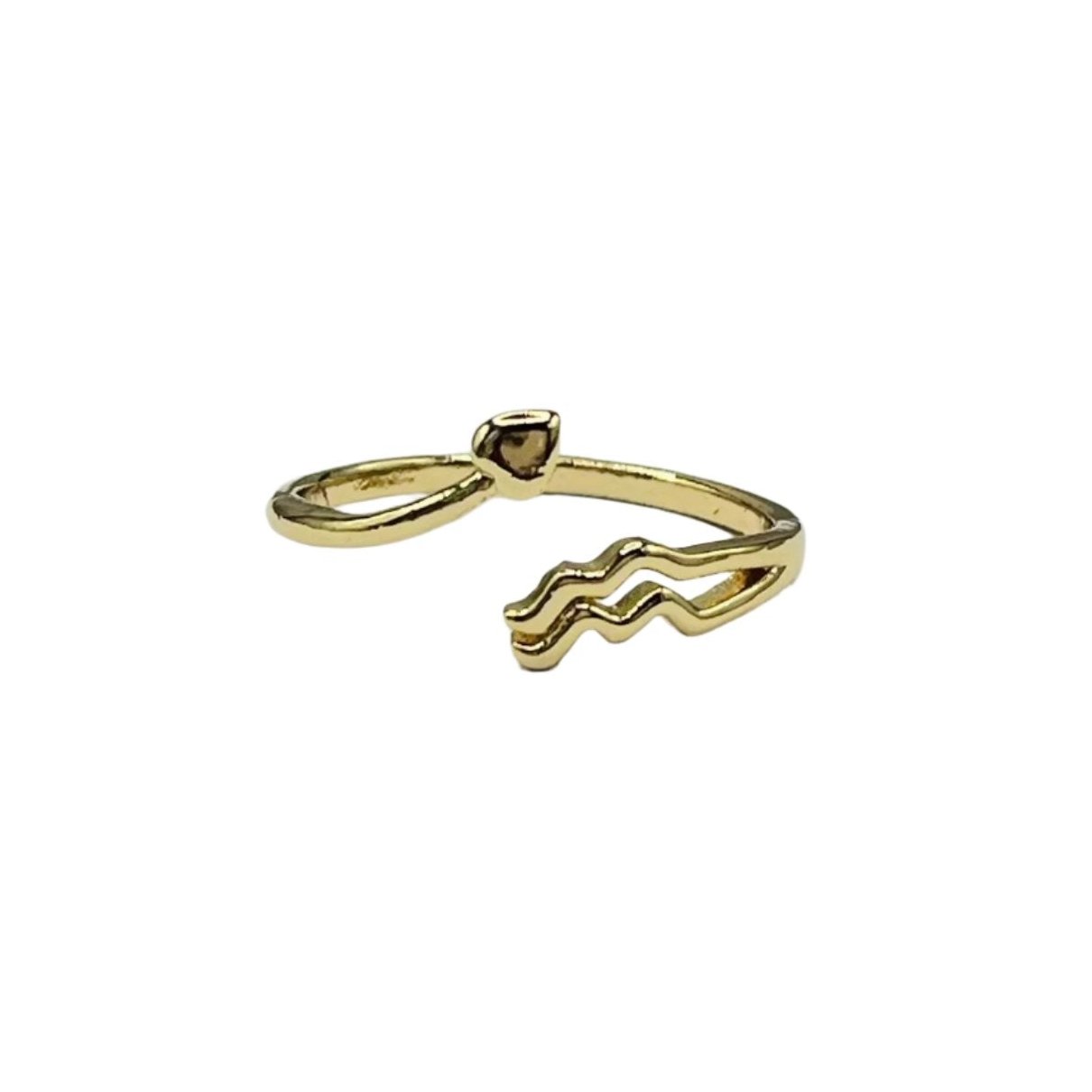 Aquarius Constellation Ring