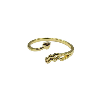 Aquarius Constellation Ring